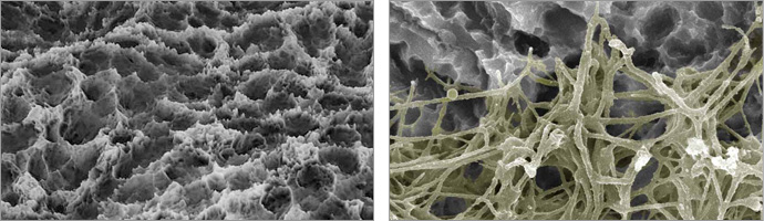 Superficie nanorrugosa