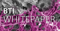 White Paper. Extreme Vertical Reabsorption