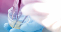 Applicazioni Cliniche del PRGF-ENDORET per un' Implantologia Biologicamente Guidata