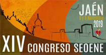 Congreso SEOENE 2019 - Taller de APNiA