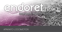 Endoret® (prgf®) application in musculoskeletal system