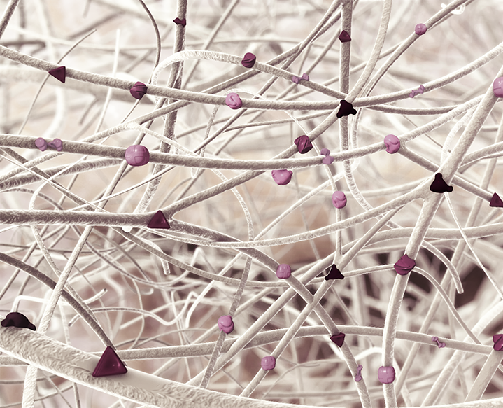 How does ENDORET® technology work?