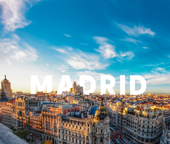 Reunión de Expertos - Madrid